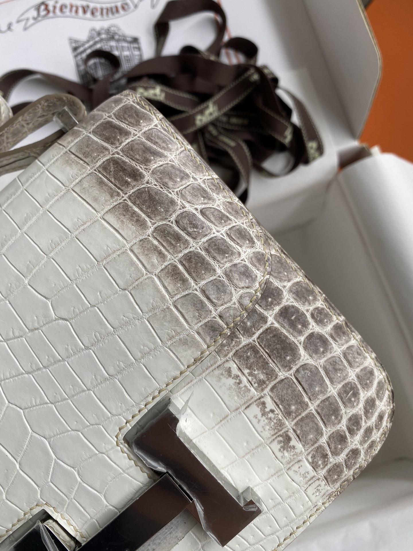 Hermes Constance 18 Mini Handmade Bag In Himalayan Crocodile Niloticus Leather